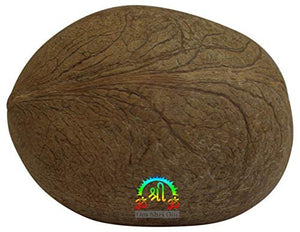 Dry Whole Coconut for Puja Indian Religious ceremony-menswallet
