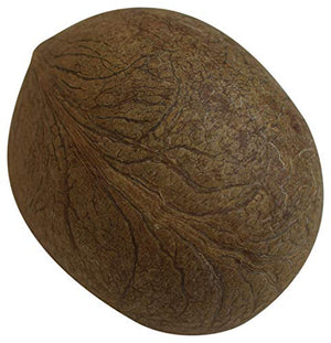 Dry Whole Coconut for Puja Indian Religious ceremony-menswallet